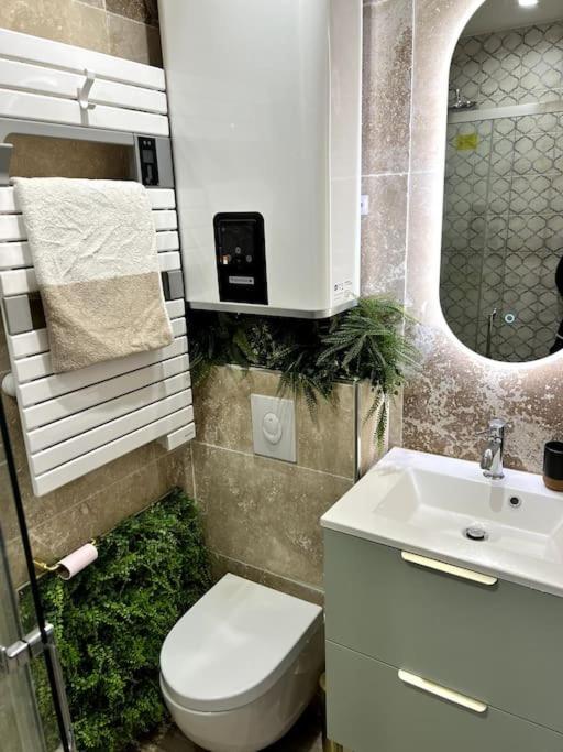 Saint-Raphaël Studio 2 Neuf A 100M Des Plages Et De La Gare מראה חיצוני תמונה